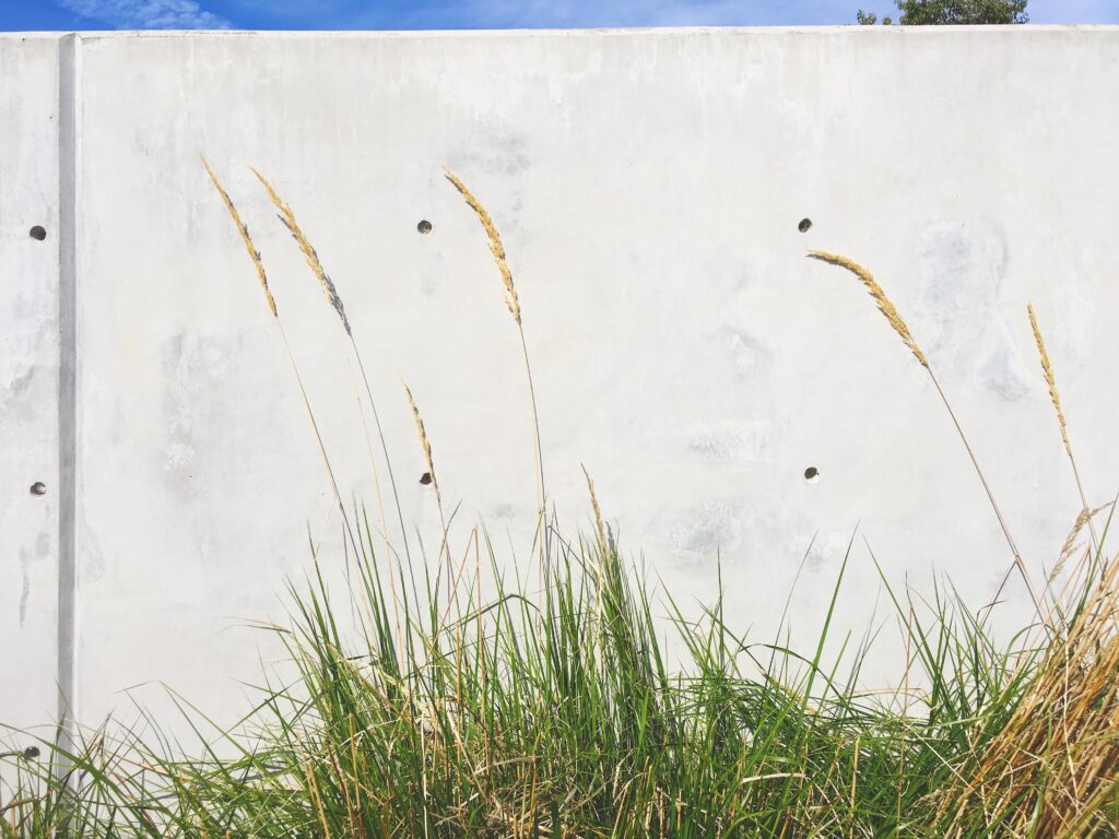 Pretty grasses in front of concrete on campus