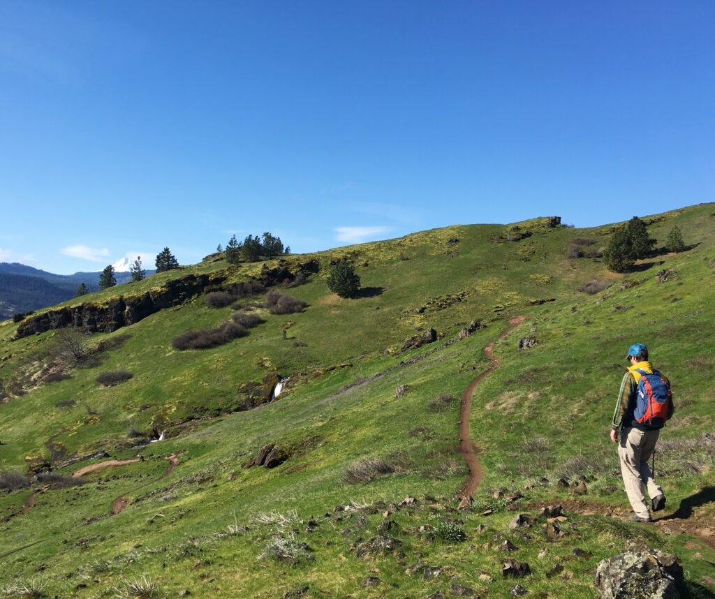 Green hillside with muddy trail and Mt. Hood in the background