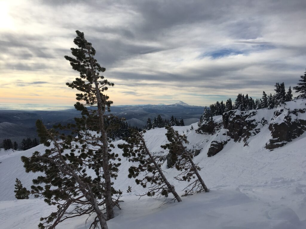 Sunrise colors with a tree in the foreground