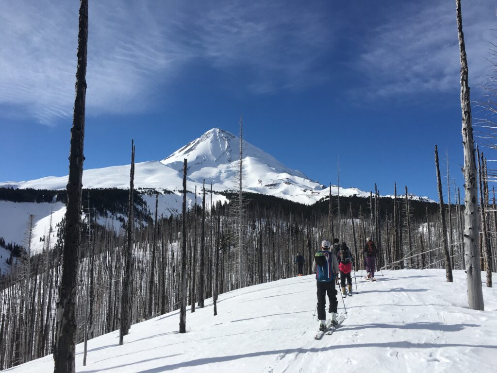 Sun and blue sky ski touring up the burned area at Cooper Spur