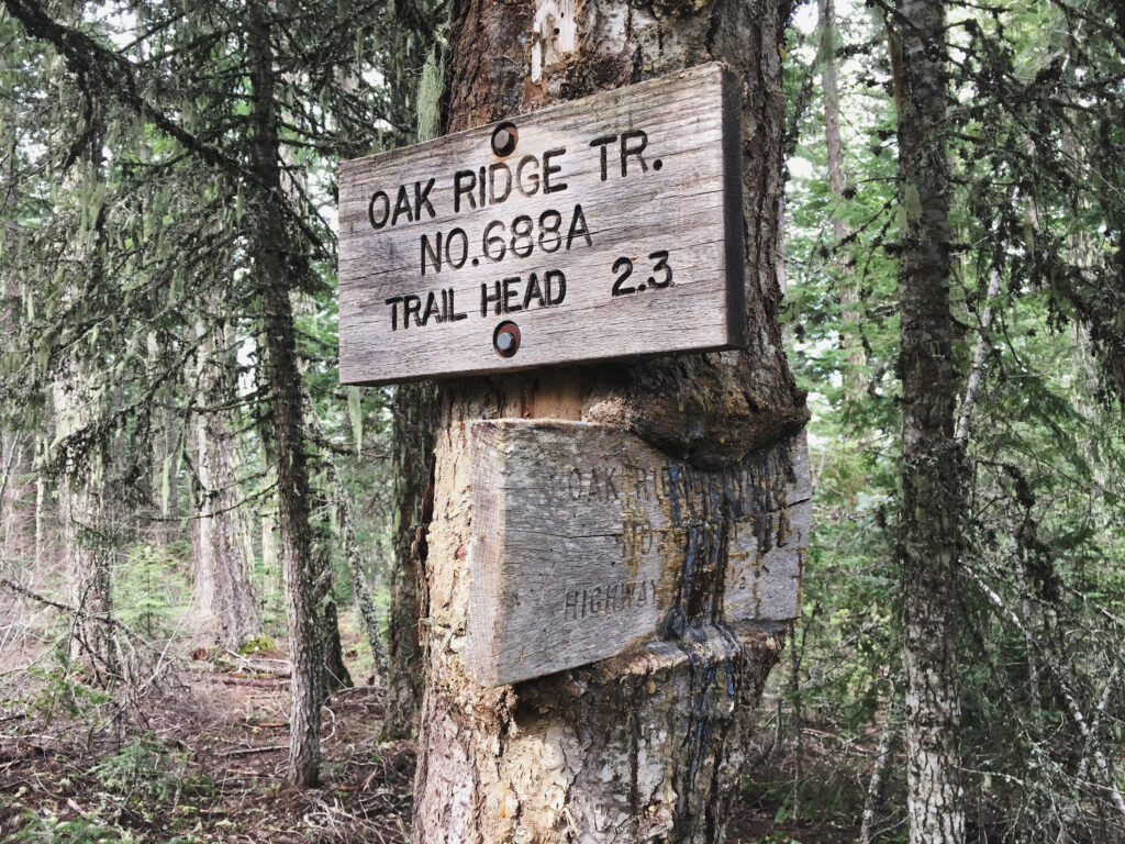 An old wooden trail marker sign getting eaten by a tree growing around it