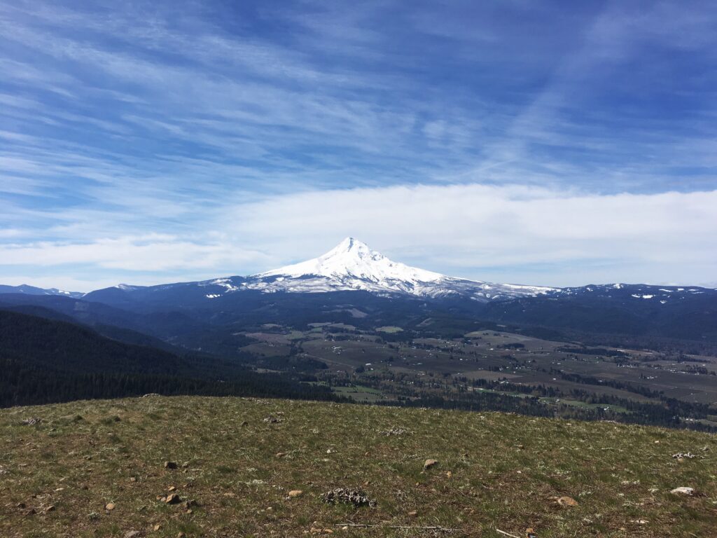 Mt. Hood