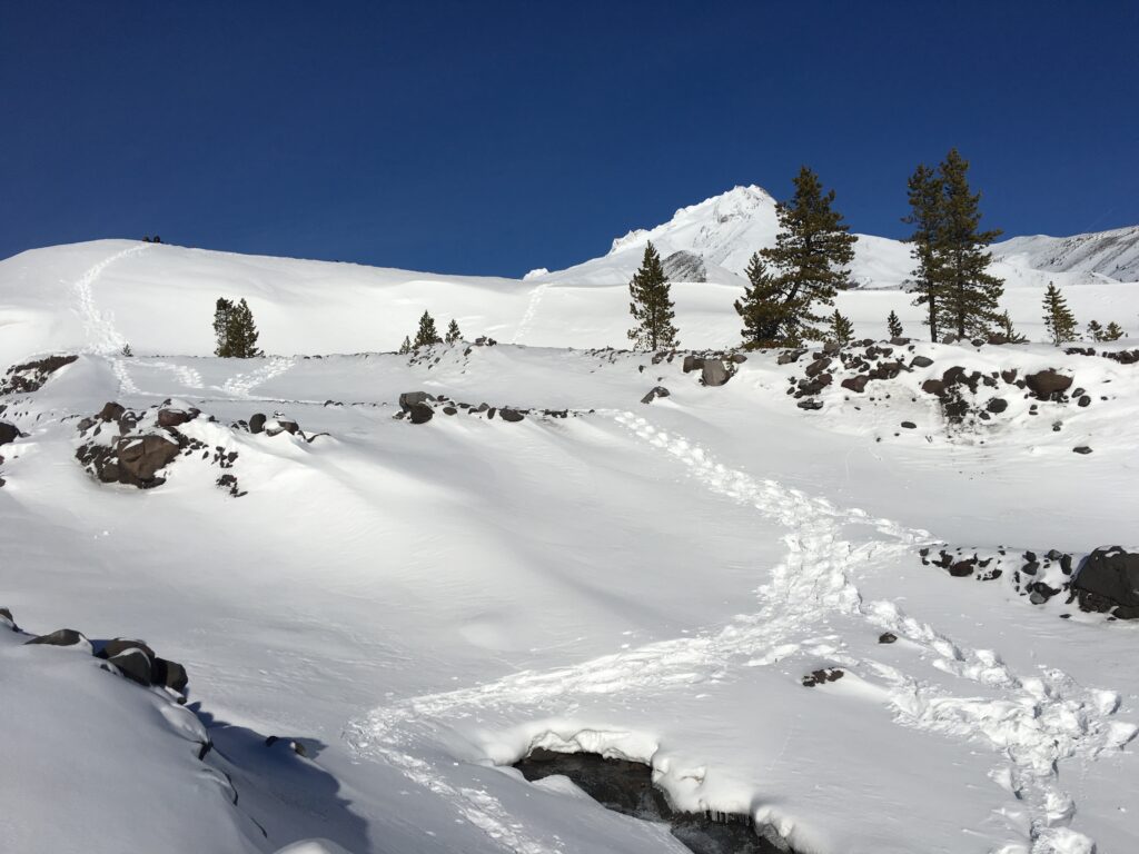 Footprints following a path across a snow bridge over a creek in White River Canyon on Mt. Hood