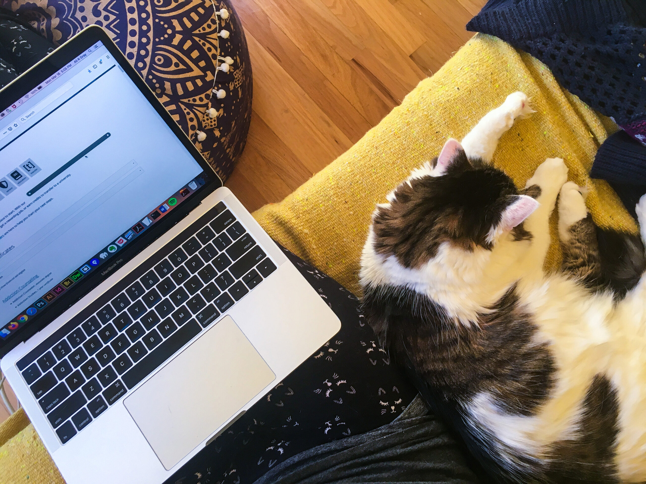 Working from home on my laptop with my cat